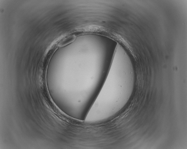 X0000067480392200604070933