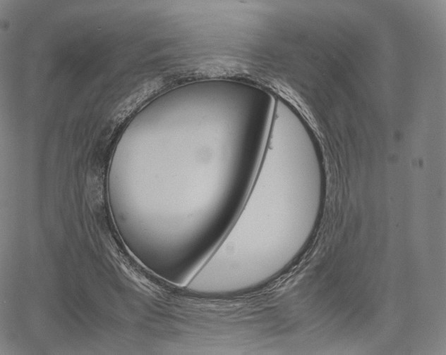 X0000067480393200604070933