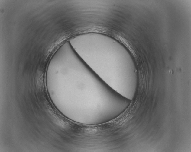 X0000067480394200604070933