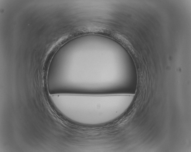 X0000067480395200604070933