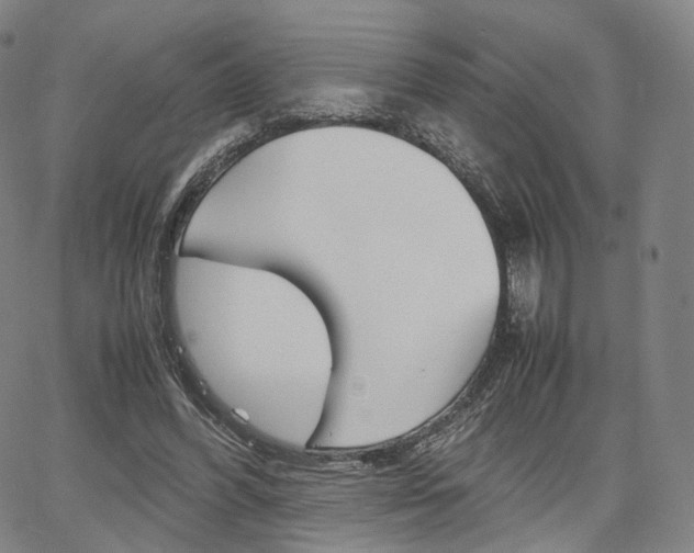 X0000067480396200604070933