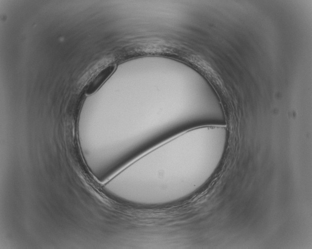 X0000067480397200604070933