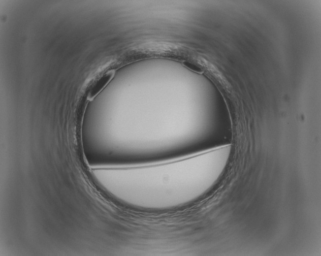 X0000067480399200604070933