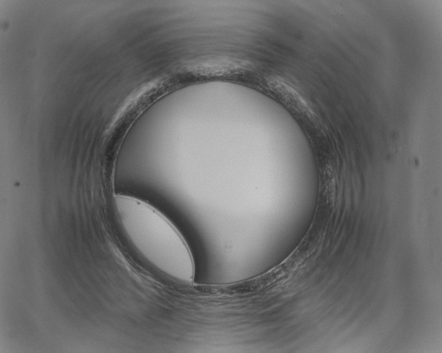 X0000067480400200604070933