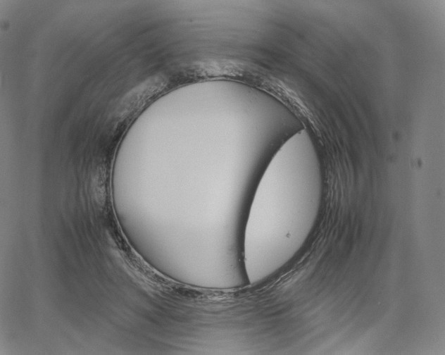 X0000067480402200604070933