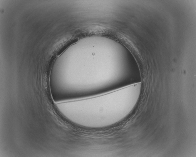 X0000067480403200604070933