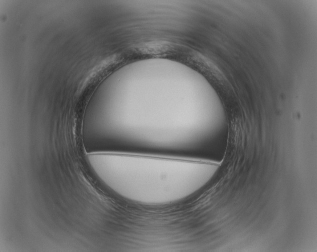 X0000067480404200604070933