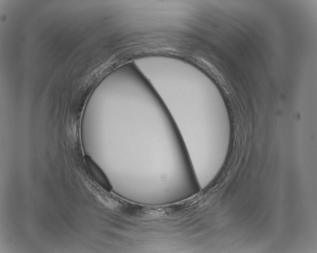 X0000067480405200604070933