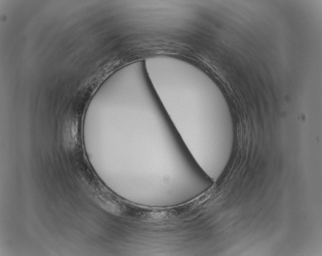 X0000067480406200604070933