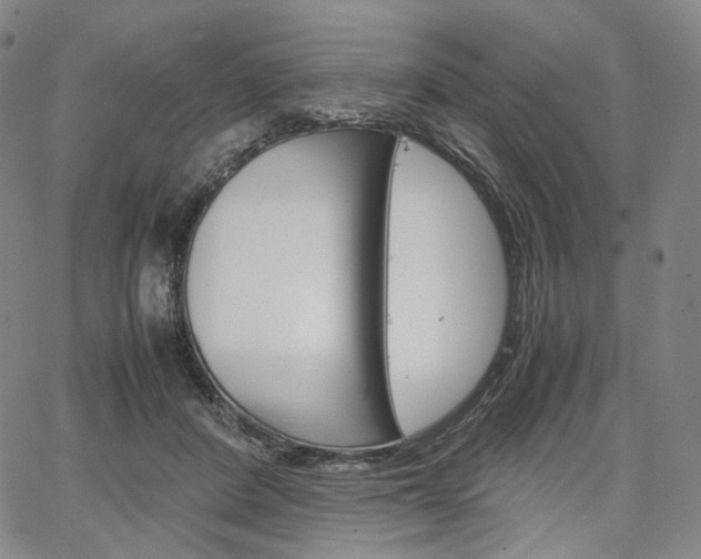 X0000067480408200604070933