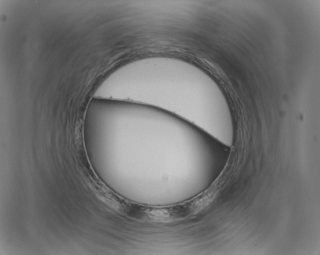 X0000067480409200604070933