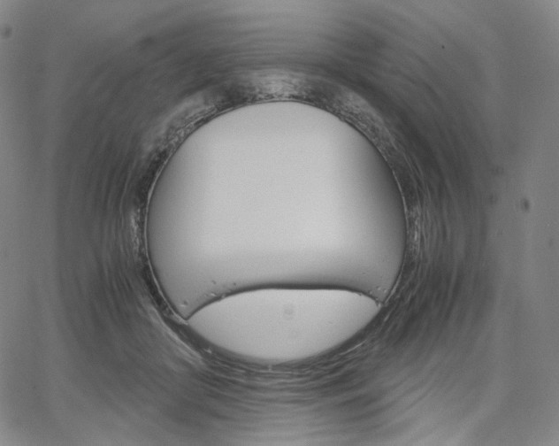 X0000067480410200604070933