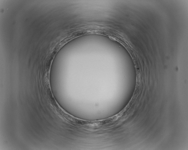 X0000067480411200604070933