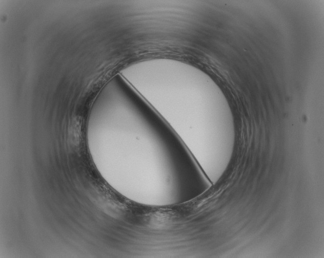 X0000067480412200604070932