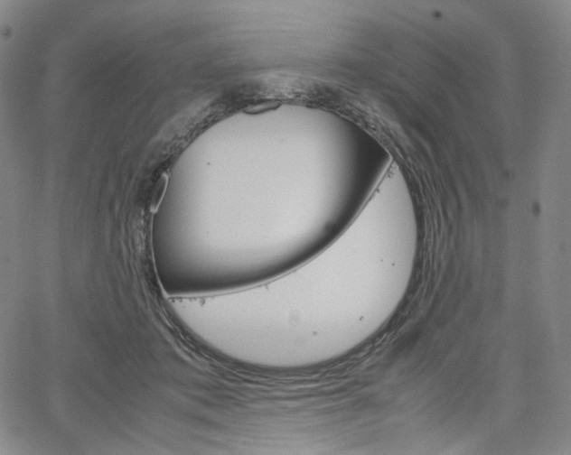 X0000067480413200604070932