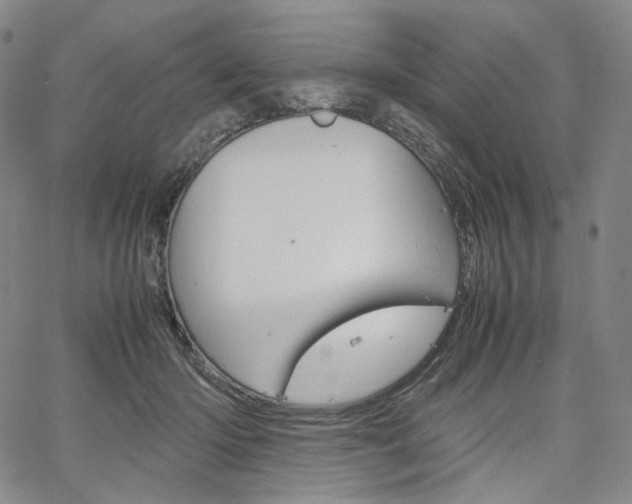 X0000067480414200604070932