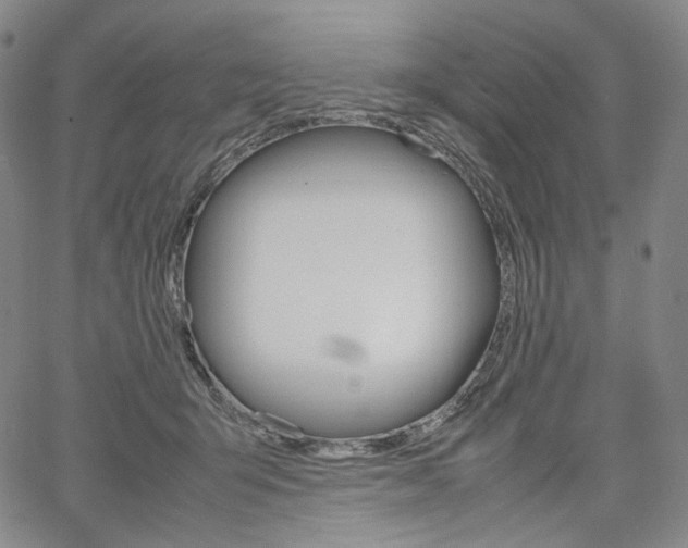 X0000067480415200604070932