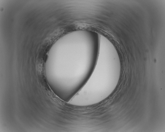 X0000067480417200604070932