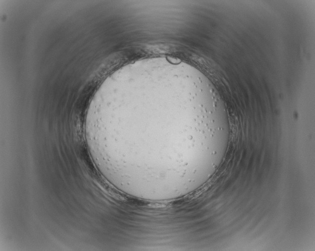 X0000067480418200604070932