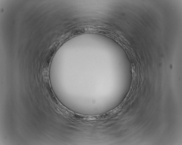 X0000067480419200604070932