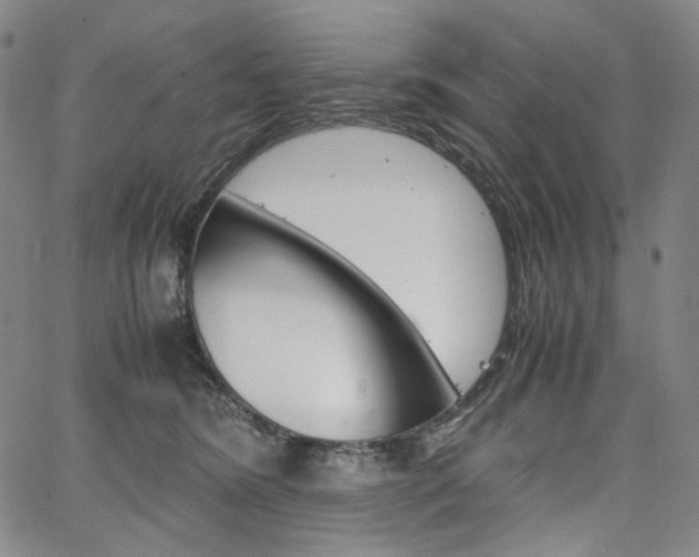 X0000067480420200604070932