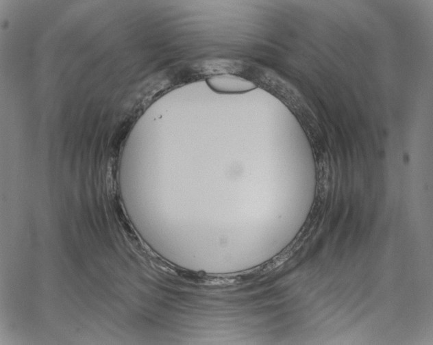 X0000067480422200604070932