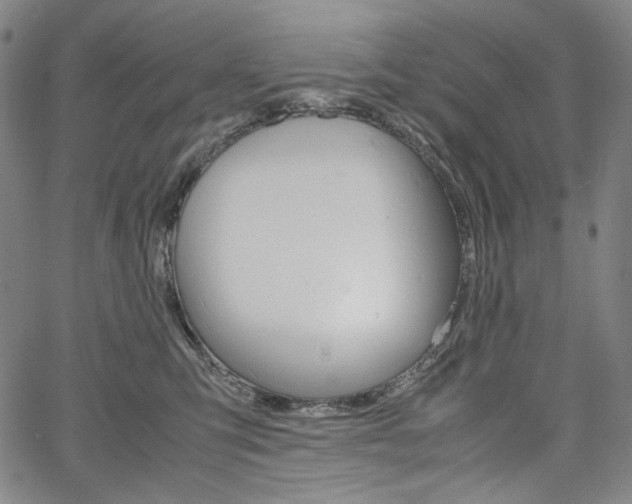 X0000067480423200604070932