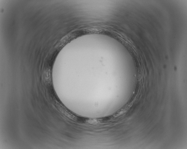 X0000067480425200604070932