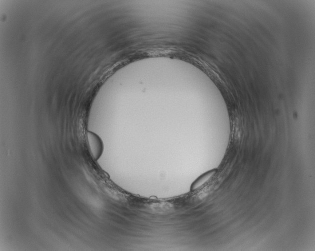 X0000067480426200604070932