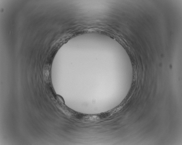 X0000067480427200604070932