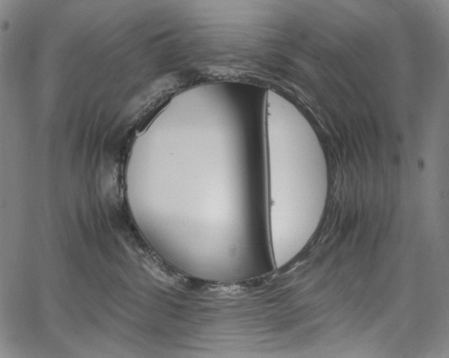 X0000067480428200604070932