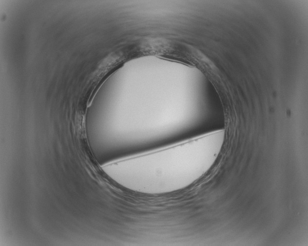 X0000067480429200604070932