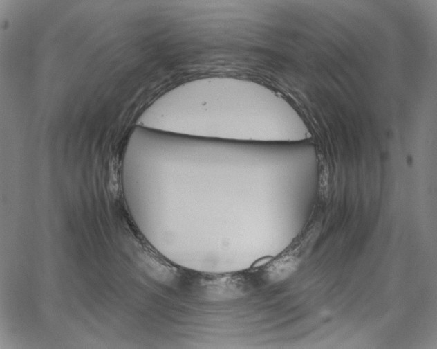 X0000067480430200604070932