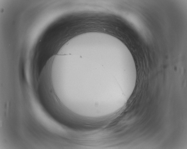 X0000067480431200604070932