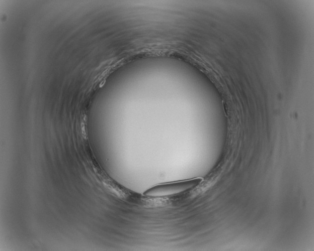 X0000067480432200604070932