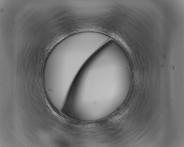 X0000067480433200604070931