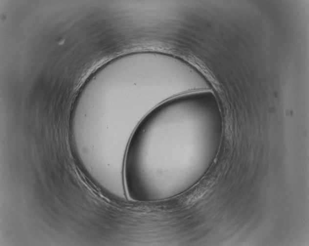 X0000067480434200604070931