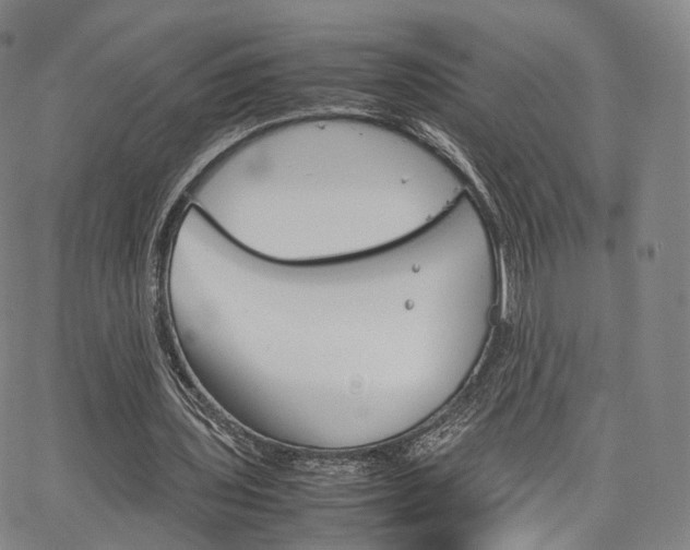 X0000067480435200604070931