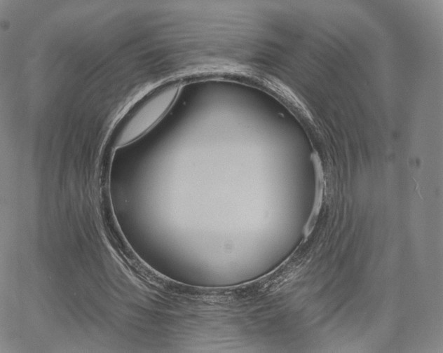 X0000067480436200604070931