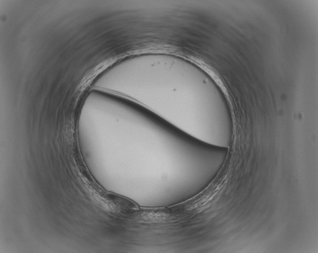 X0000067480437200604070931