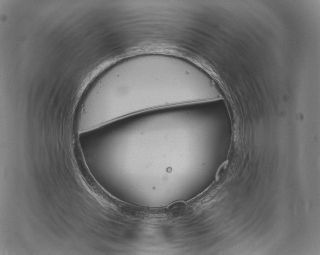 X0000067480438200604070931