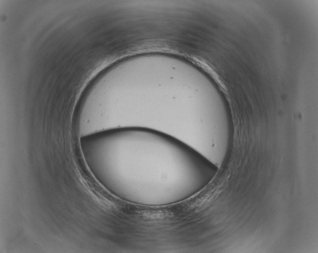 X0000067480439200604070931