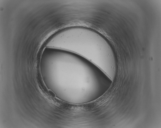 X0000067480440200604070932