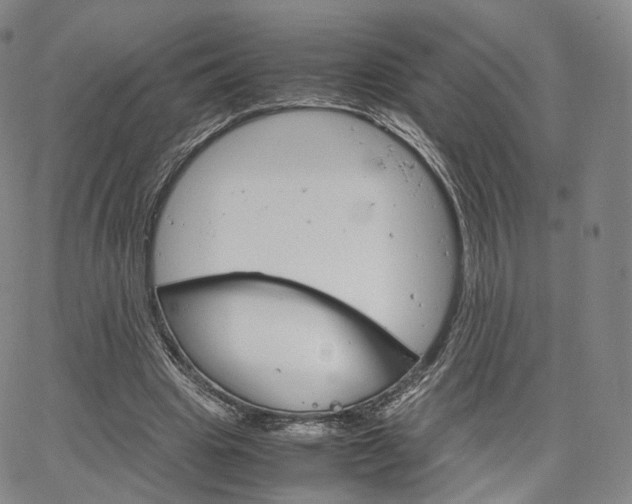 X0000067480441200604070932