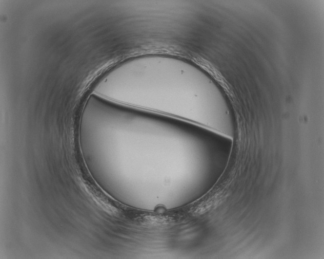 X0000067480442200604070932