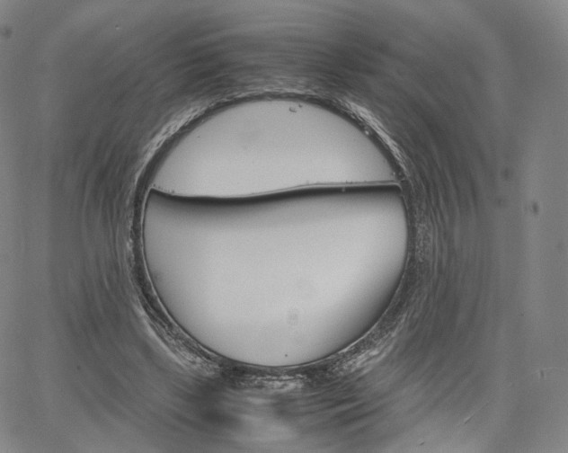 X0000067480443200604070932