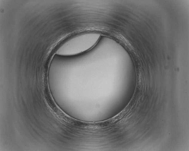 X0000067480444200604070932