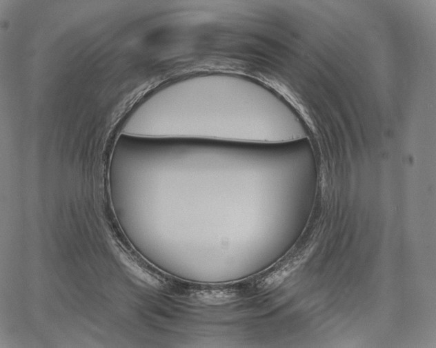 X0000067480445200604070932