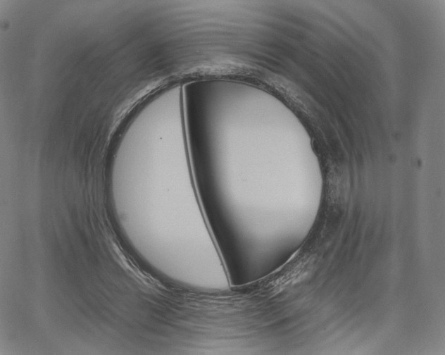 X0000067480446200604070932