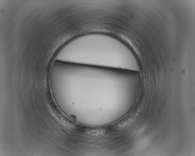 X0000067480447200604070932